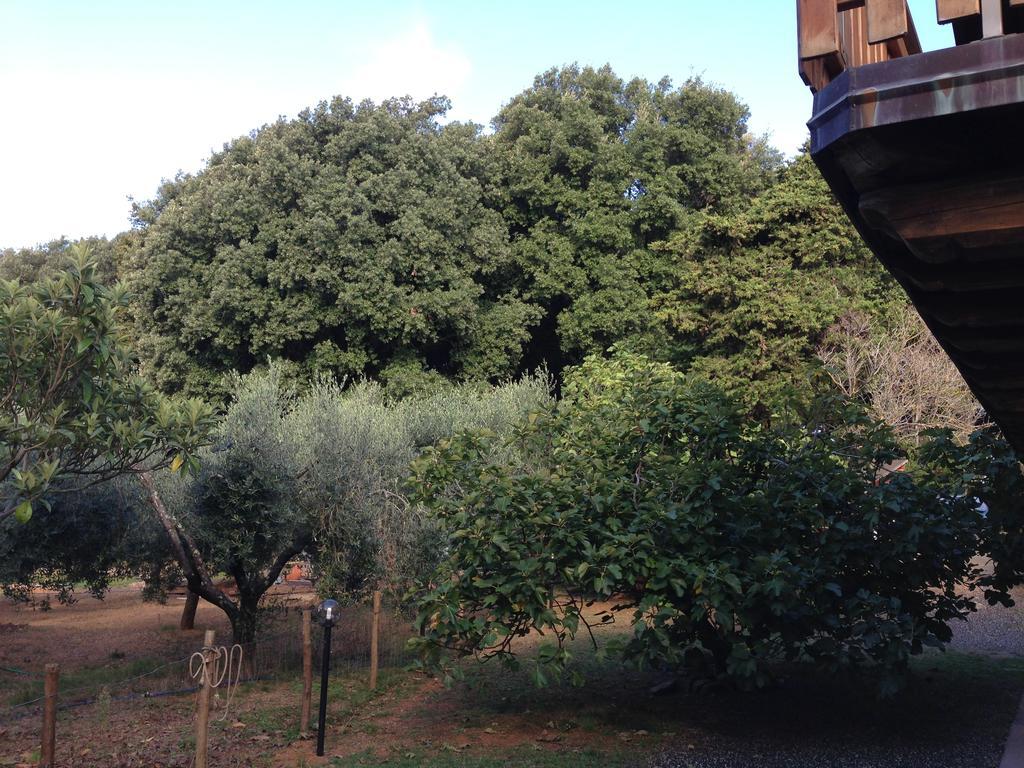Bed and Breakfast Agriturismo "La Rosa Canina" à Lerici Extérieur photo