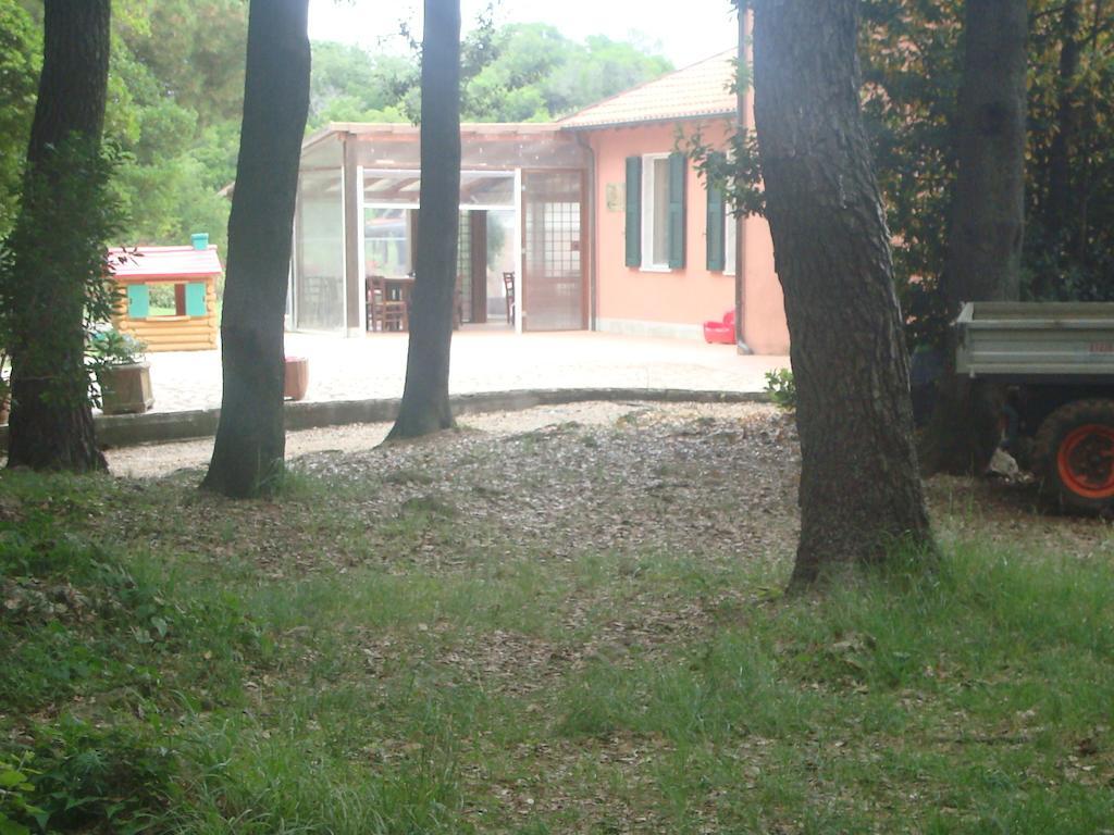 Bed and Breakfast Agriturismo "La Rosa Canina" à Lerici Extérieur photo
